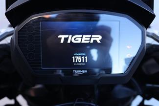 2019 Triumph Tiger - Thumbnail