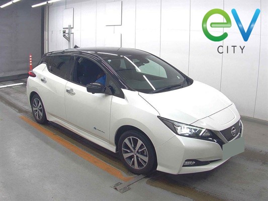 2020 Nissan Leaf